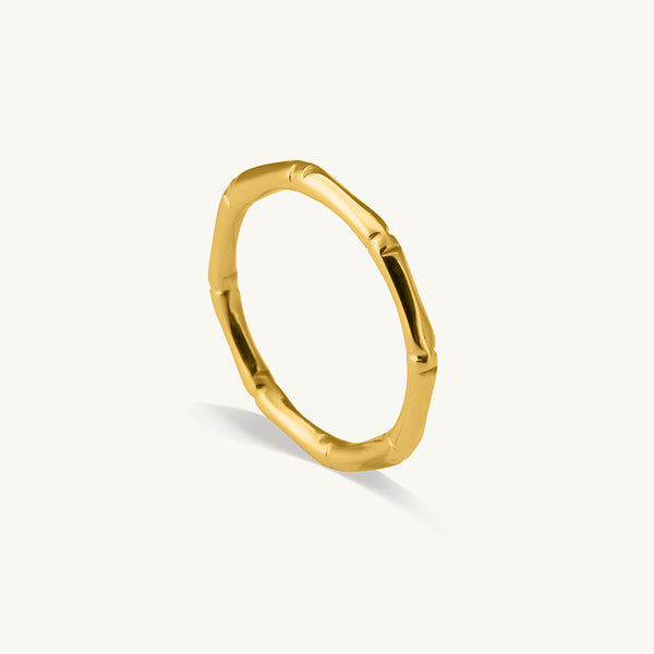Segmented Gold Ring