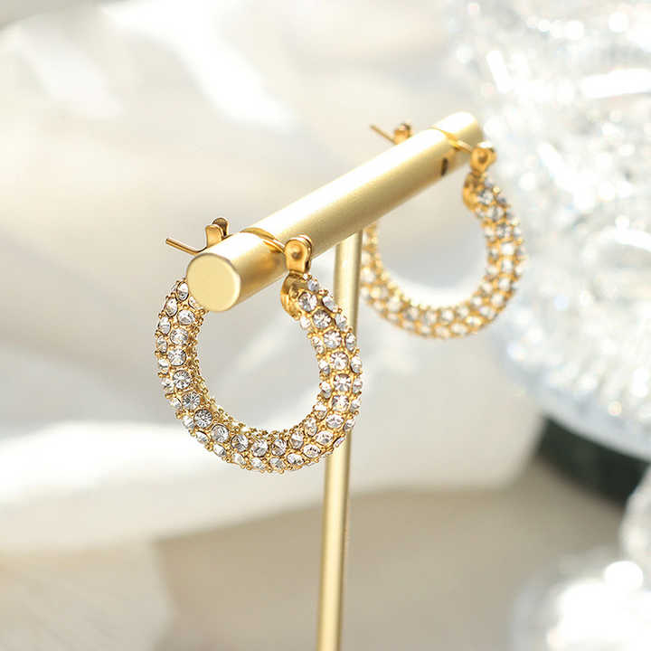 Shop Diamond Studded Hoop Earrings Palmonas-2