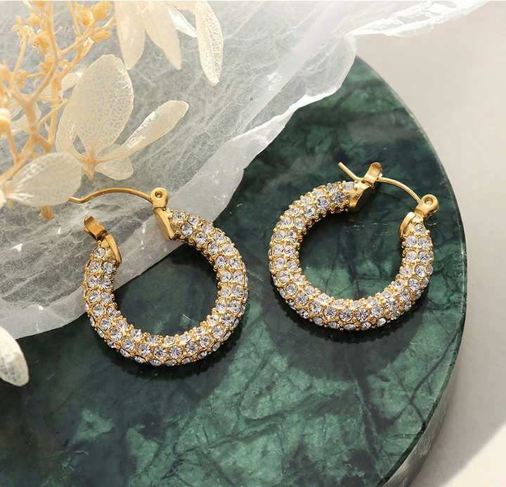 Shop Diamond Studded Hoop Earrings Palmonas-6