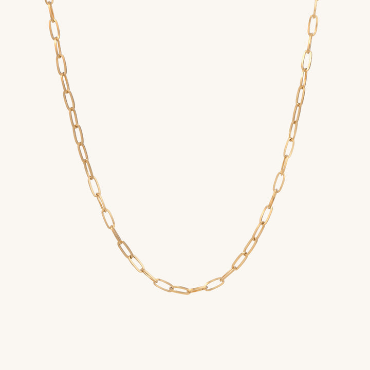 Shop Paperclip Chain Necklace- 18k Gold Plated Palmonas-7