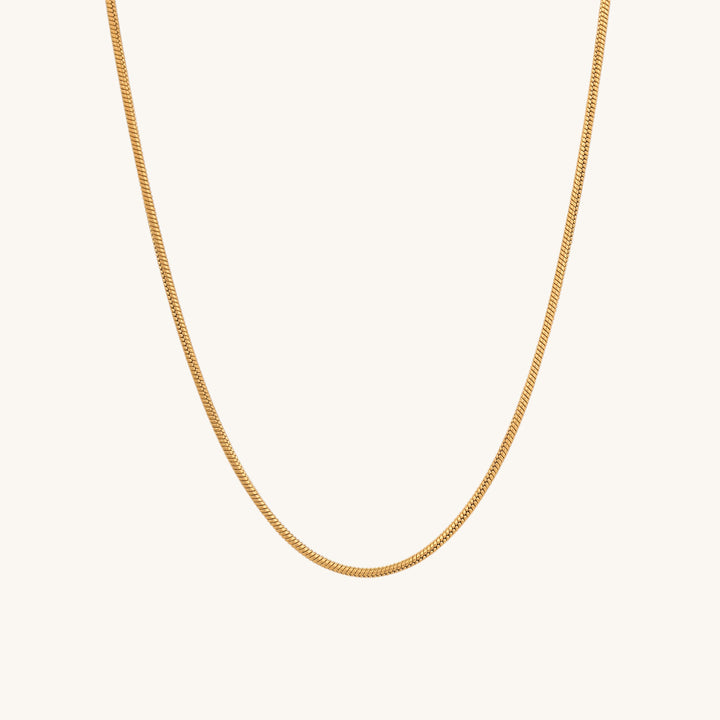 Shop Glossy Chain Necklace- 18k Gold Plated Palmonas-5