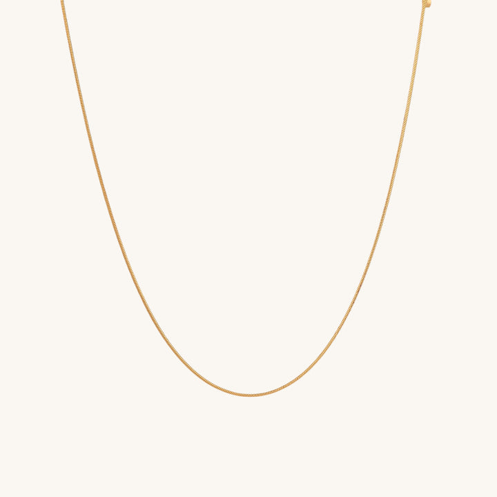 Shop Glossy Chain Necklace- 18k Gold Plated Palmonas-4